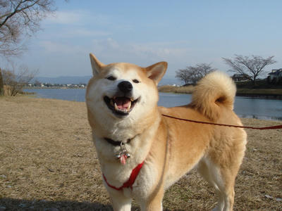 とにかく？嬉しい！
