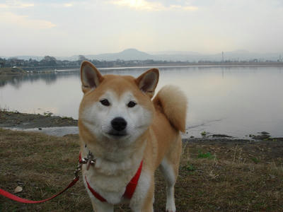 曇りのち雨！