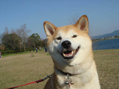 笑顔も天気もサイコー！