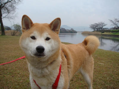朝から曇り！