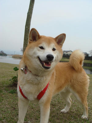 爽やかこうたろう！