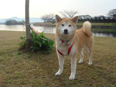 風光明媚な江津湖！