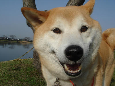 もう初夏？