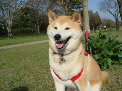 人が多かったです！