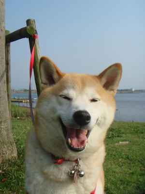 つい？笑っちゃいます！