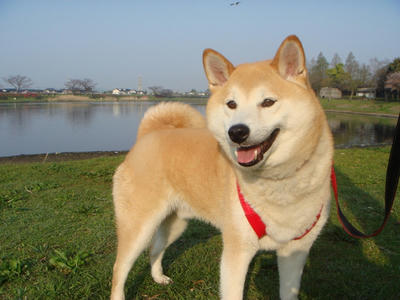良い天気です！