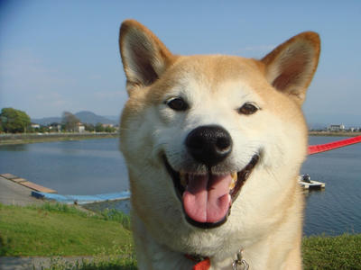 今日も元気！