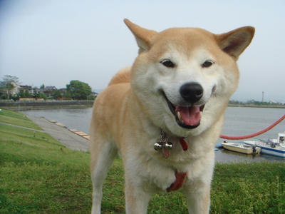 お耳が変？