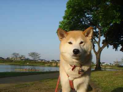 今朝のこうたろう！
