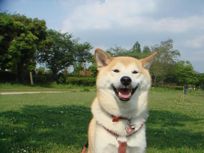 良い天気でした！