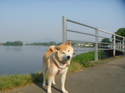 初めての場所！