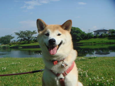 もう夏？