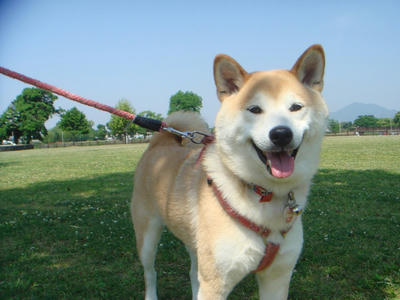 広い公園です！