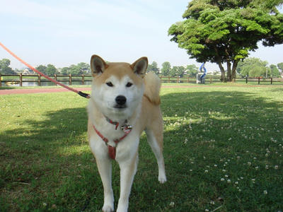 今日から違います！