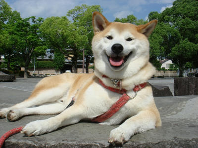 悩ましい？