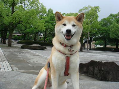 曇りのち晴れ！