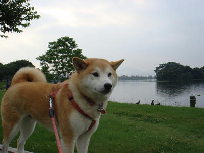 お茶目なこうたろう！