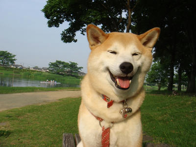 瞑想中？