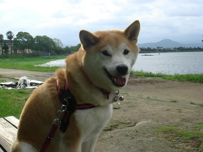 曇りでラッキー！