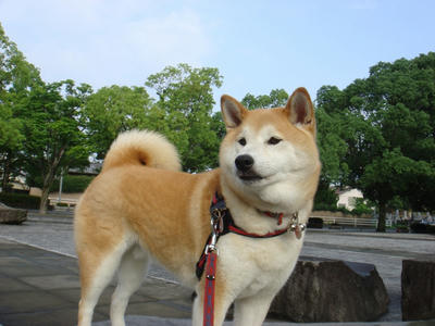 青空！