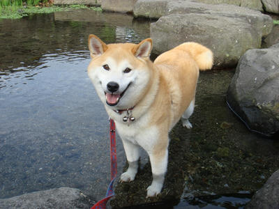 サイコー！
