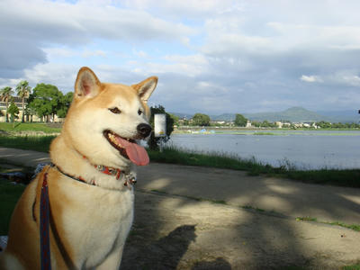夕方6時少し前です！