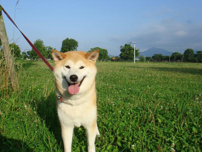 広い？公園です！