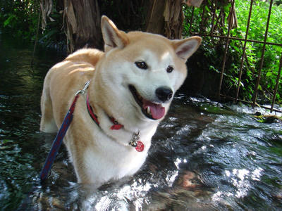気持ちイィー！