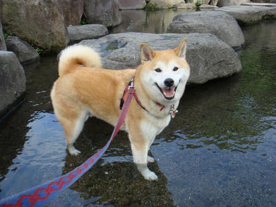 水神さんです！