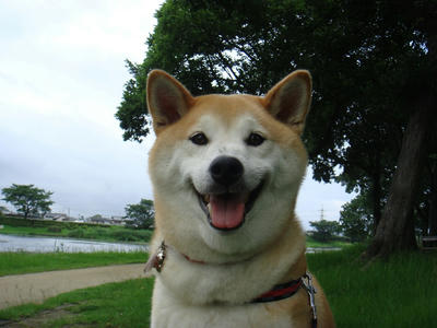 暑い！