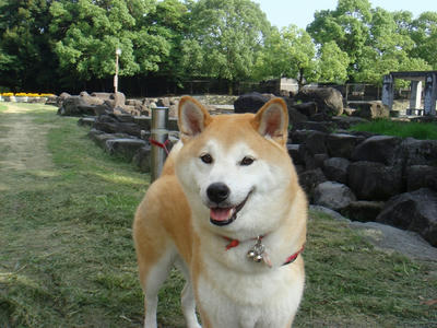 少し見えました！