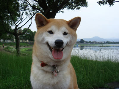 峠を越えた？