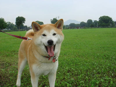 除草澄み！