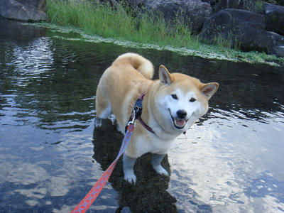 冷たくて気持ちイイ！