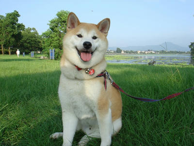 アチィー！
