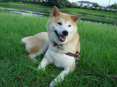 １５ヶ月振りのシャンプー！