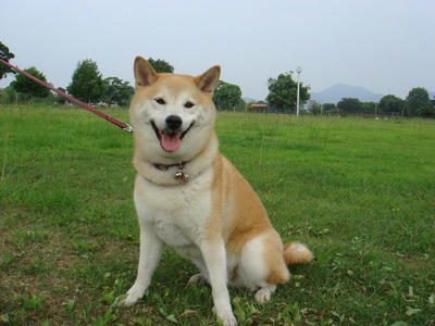ムシムシ！