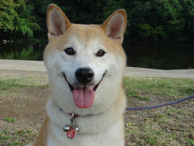 暑い日が続きます！