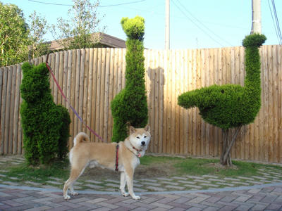 緑のオブジェ！