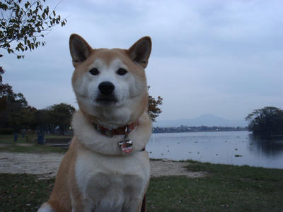 遅めの散歩！