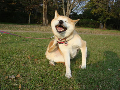 時にはこんな恰好も？