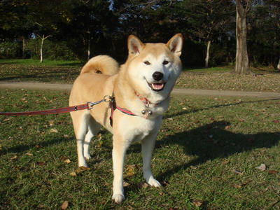 時にはバックをチェンジ？