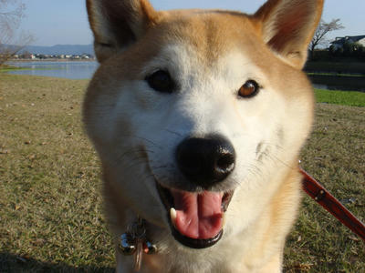 来年もよろしくお願いします！