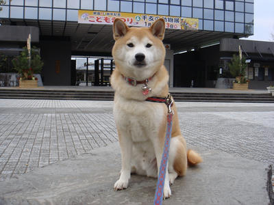 あけましておめでとうございます！