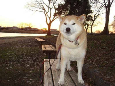夕陽が大きい！