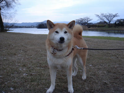 強烈な風！
