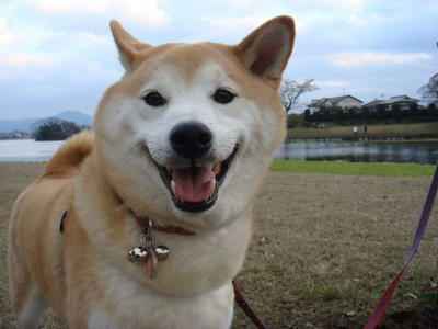 愛くるしい笑顔？