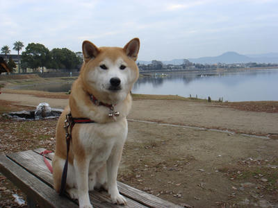 また？曇り！
