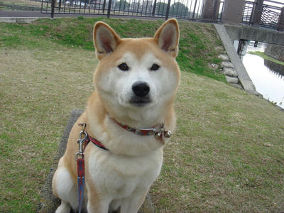 食べる？