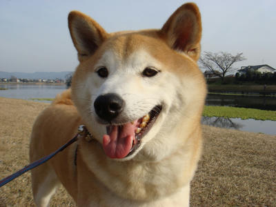 3月中旬の気候！